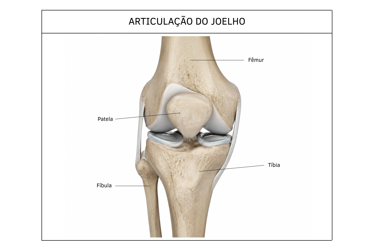 Figura do material-fonte