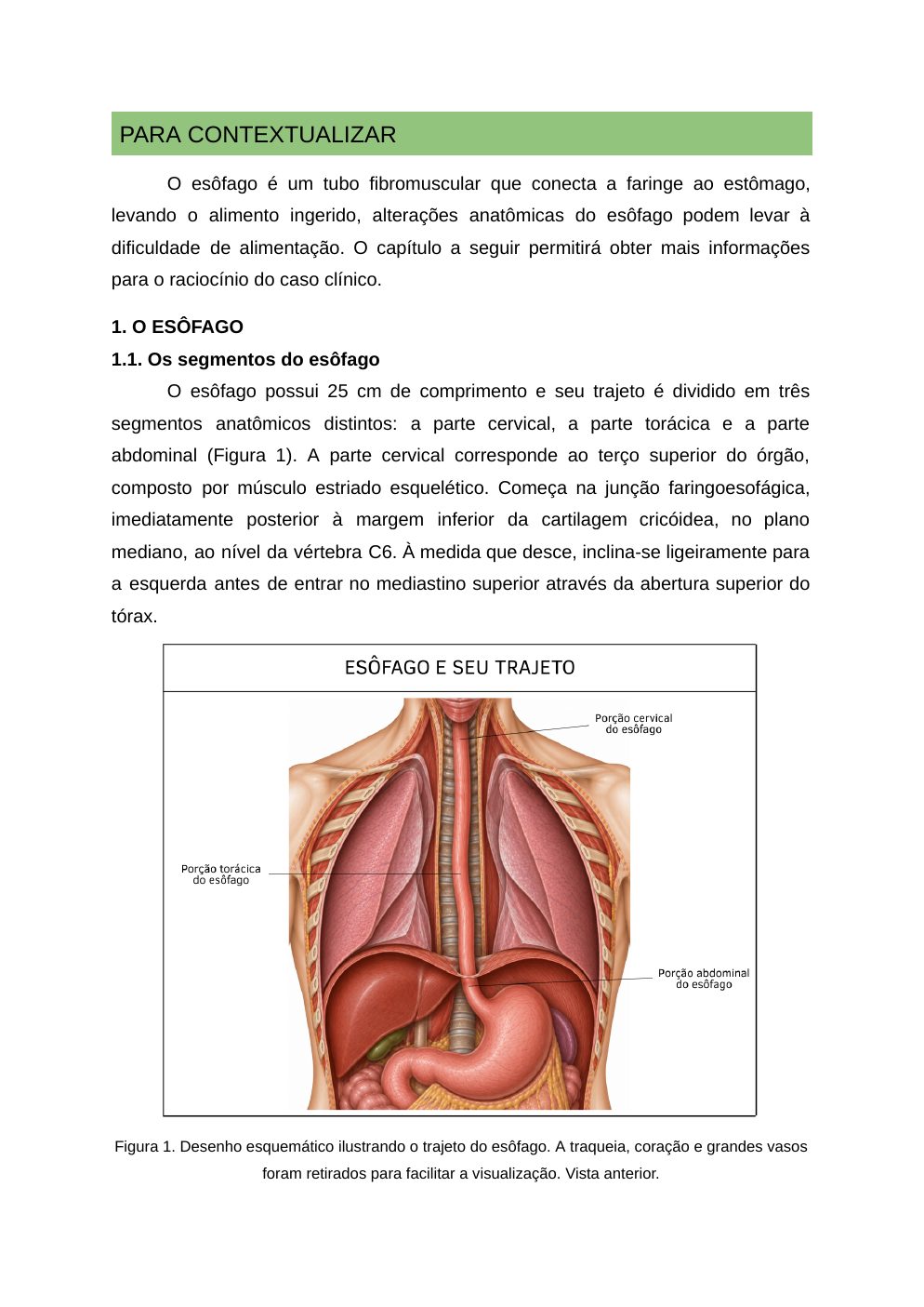 Página 2 do material-fonte — Megaesôfago chagásico