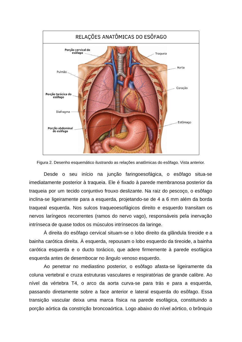 Página 5 do material-fonte — Megaesôfago chagásico