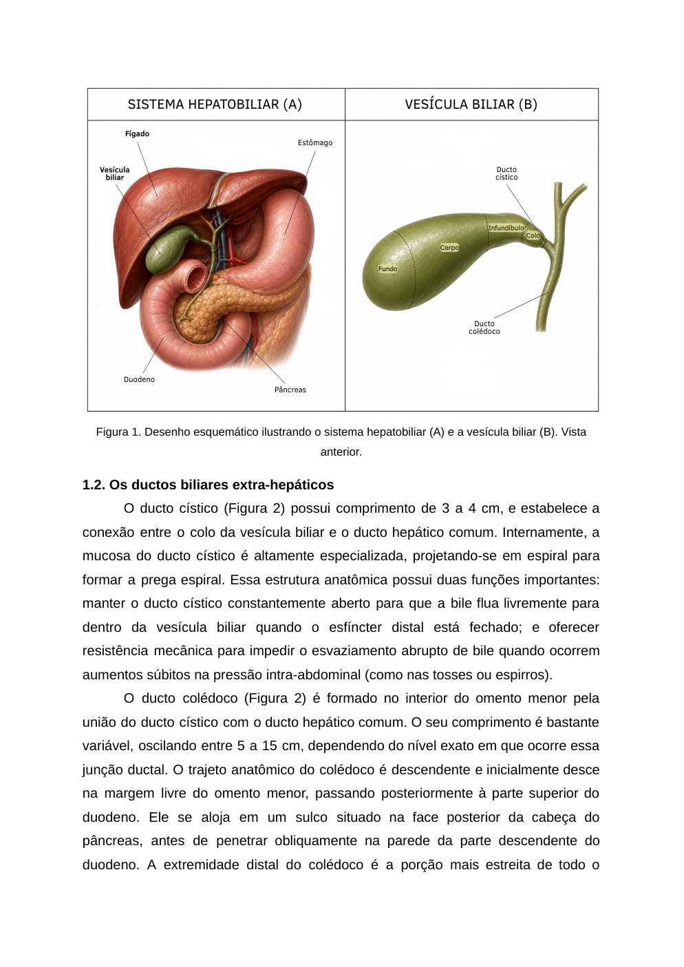 Página 3 do material-fonte — Colelitíase