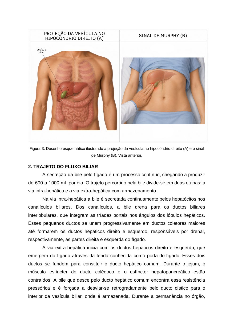Página 5 do material-fonte — Colelitíase